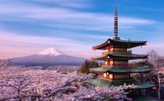 Toru Vietnam - Công ty kết nối nhà cung cấp Việt Nam với khách hàng quốc tế